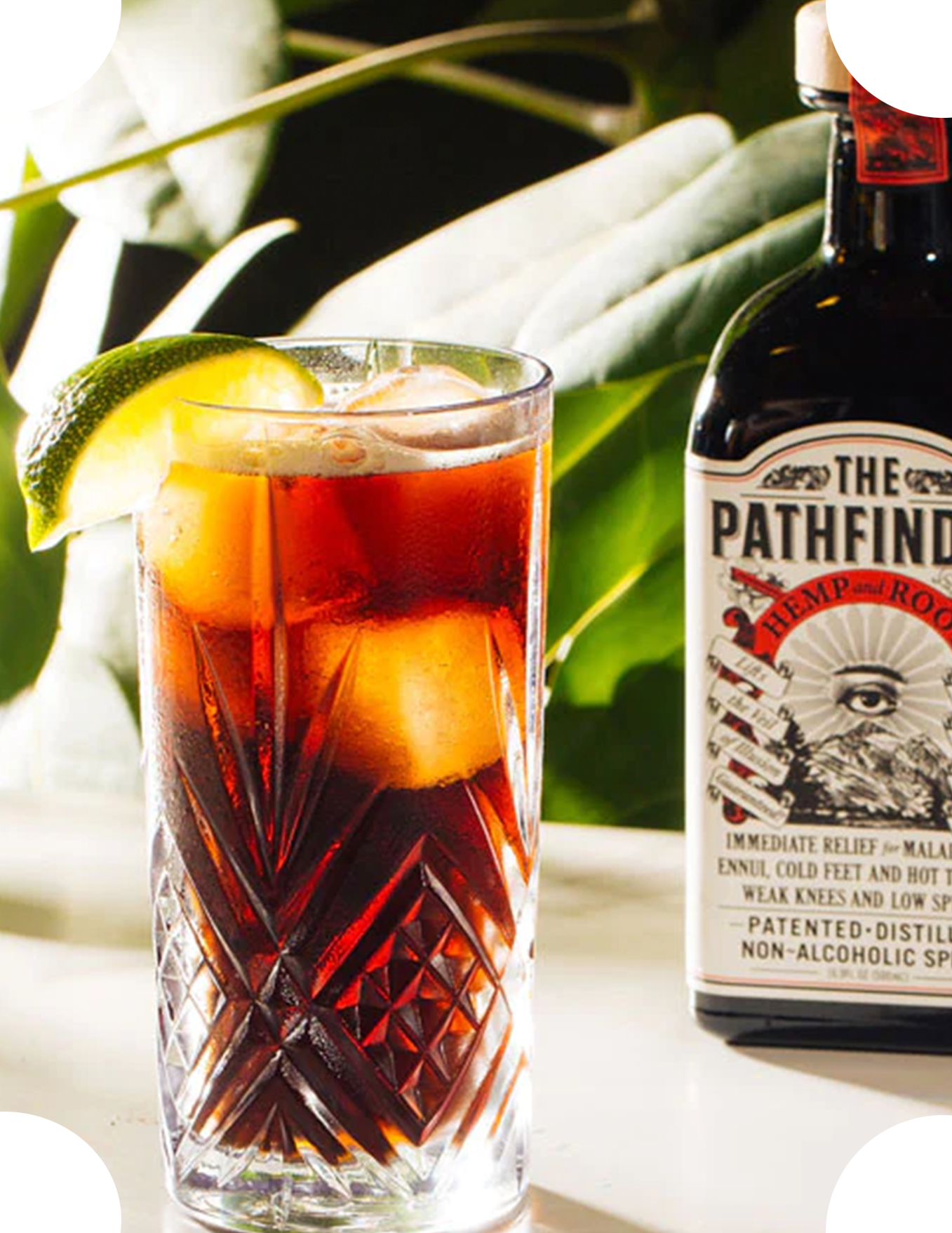The Pathfinder Espresso Cola