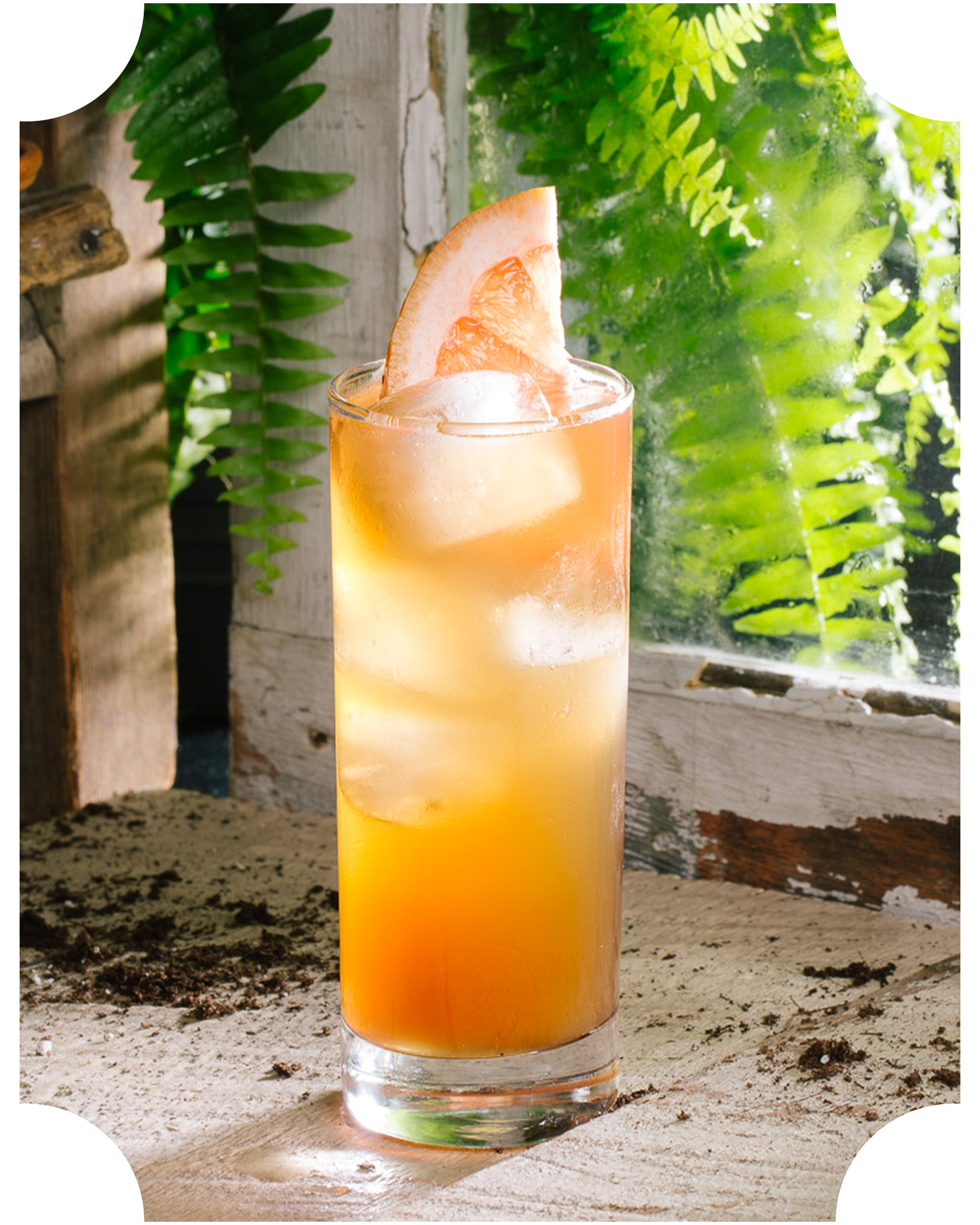 Finder's Spring Soda