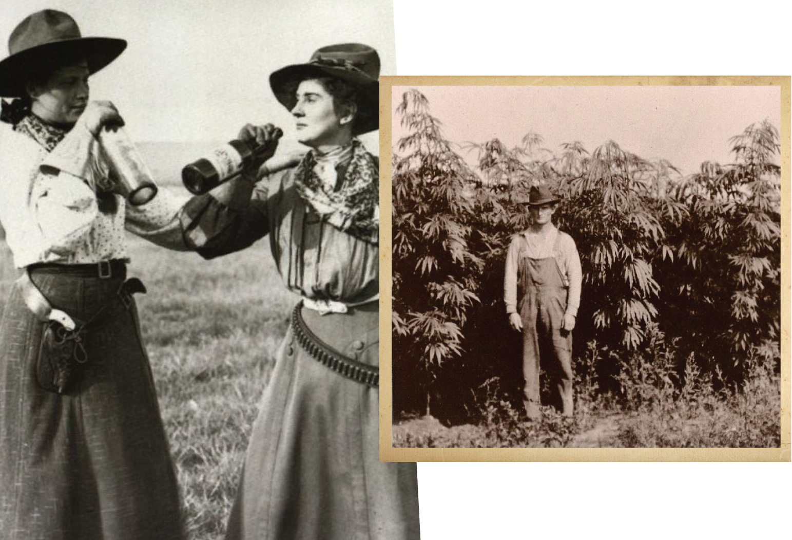 Black and white American west photographs of bootleggers and a hemp farmer